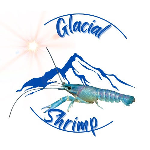 Glacial Shrimp Corporation